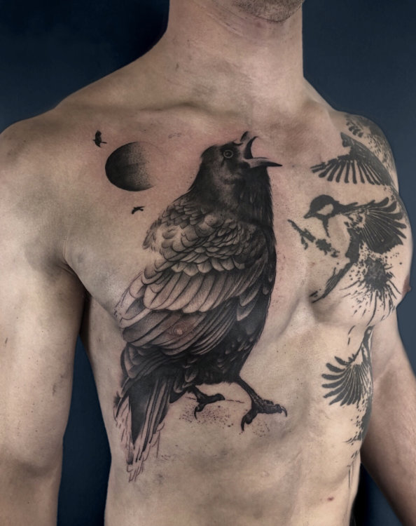 large crow tattoo on a male torso, done by Matt Hunt, birmingham, uk